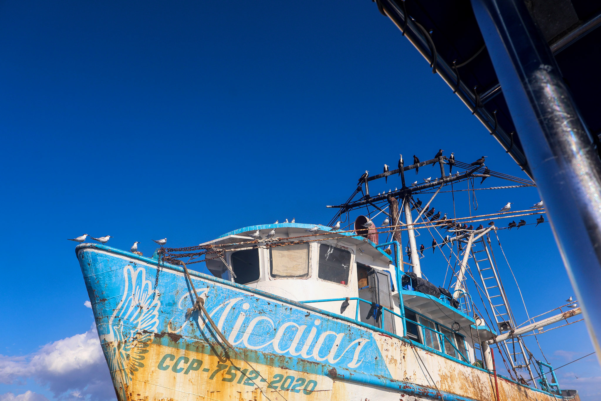 94-IMG_1596